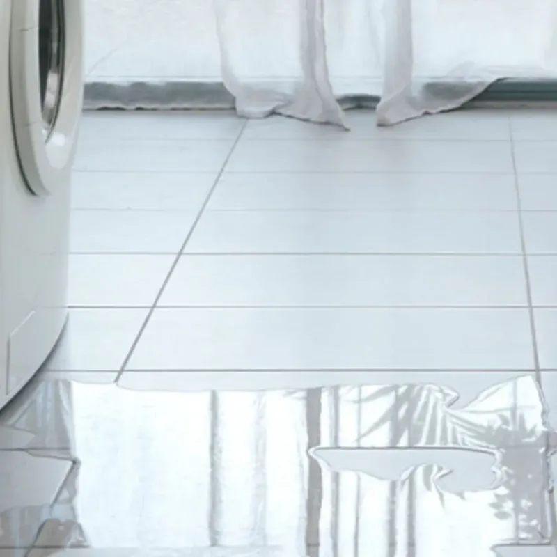 Appliance Leak Cleanup in Spring City, PA