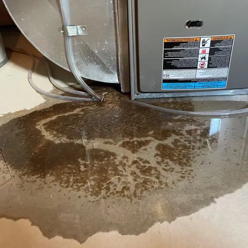 Pipe Burst and Leak Restoration in Spring City, PA