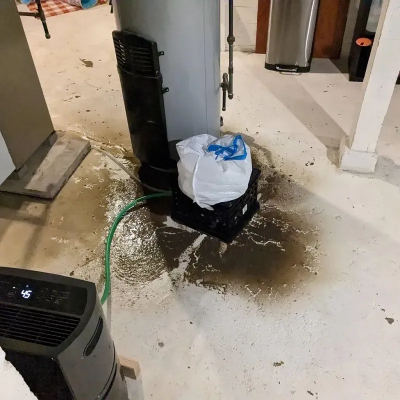 Sewage Backup Cleanup Service in Spring City, PA